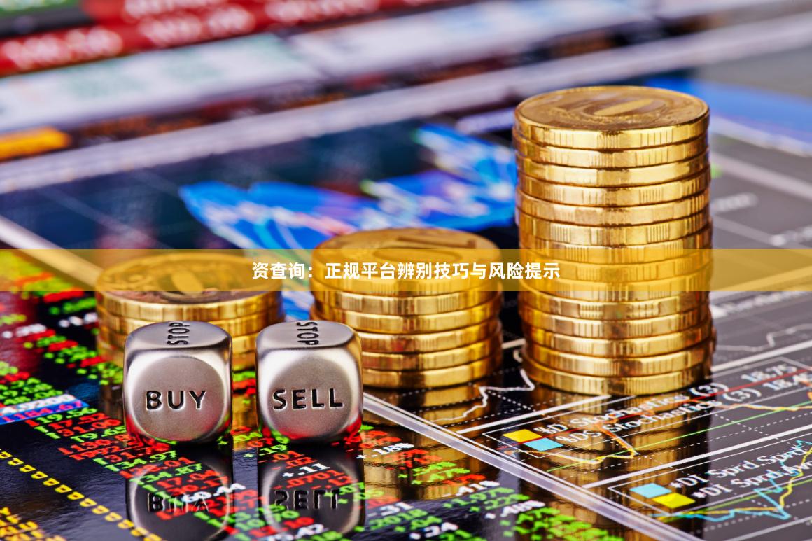 资查询：正规平台辨别技巧与风险提示